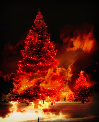 Xmas Tree on Fire Photo Montage