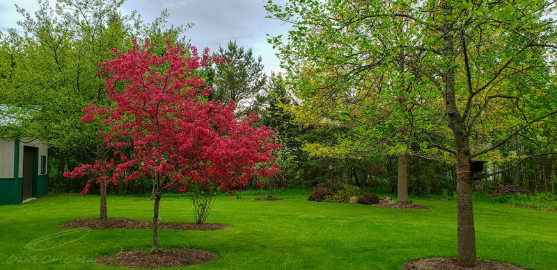 05/22/2019 - LRM-140906.jpg