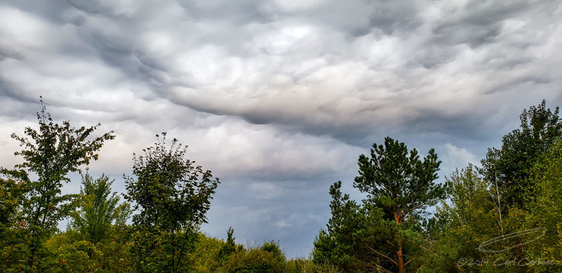 09/26/2019 - LRM-072422.jpg