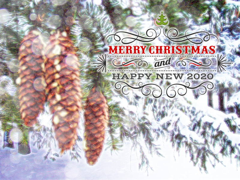 Merry Christmas and Happy New Year to All!