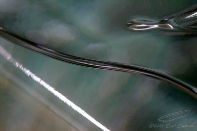 02/11/2019 - _MG_0449.jpg