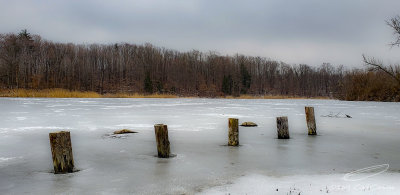 02/15/2019 - LRM-151345.jpg