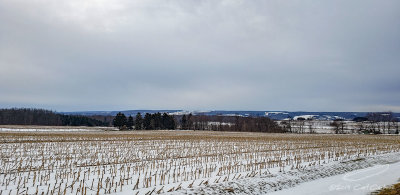 02/17/2019 - LRM-163039.jpg