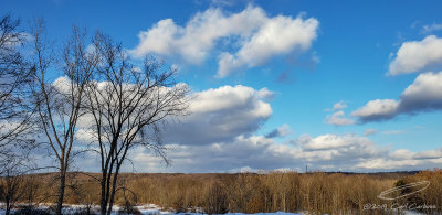 03/04/2019 - LRM-170715.jpg