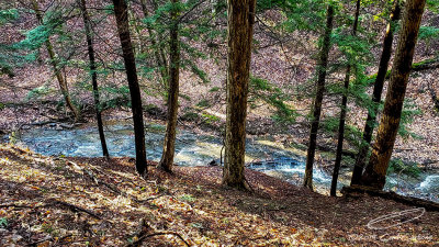 04/14/2019 - LRM-174300.jpg