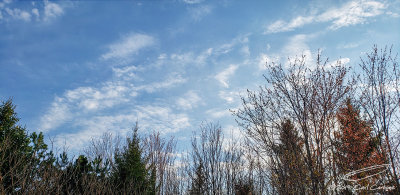 04/23/2019 - LRM-074836.jpg