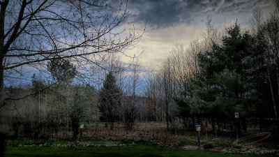 04/30/2019 - LRM-200201.jpg