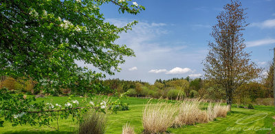 05/15/2019 - LRM-150725.jpg