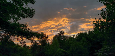 07/04/2019 - LRM-205313.jpg
