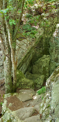 20190818_154029.jpg