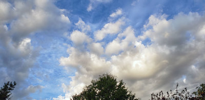 10/02/2019 - LRM-074525.jpg