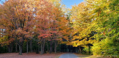 10/20/2019 - LRM-173158.jpg