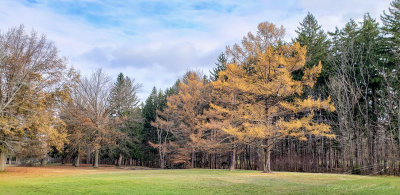 11/25/2019 - LRM-110459.jpg