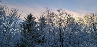 12/03/2019 - LRM-073255.jpg