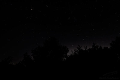 07/25/2022 - _42A4957.jpg