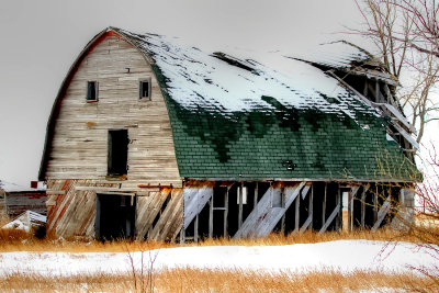 This Old Barn...2021