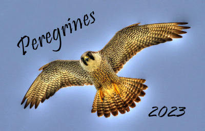 Front Page 2023
