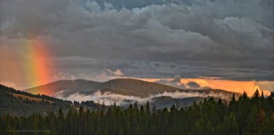 ~  WILD MONTANA SKIES  ~