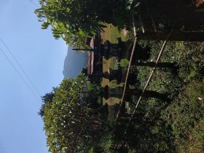 IMG_20191019_103635595.jpg