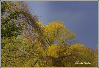 IMG_0027-001.JPG