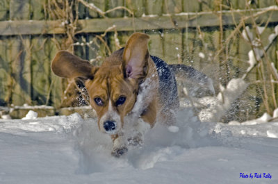 Running thru the snow