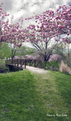 Hurd Park