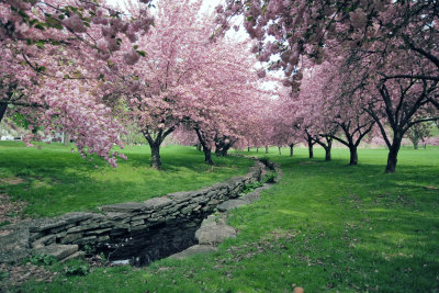 Hurd Park