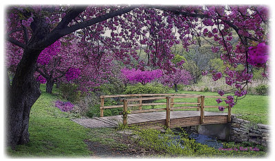 Hurd Park Bridge 