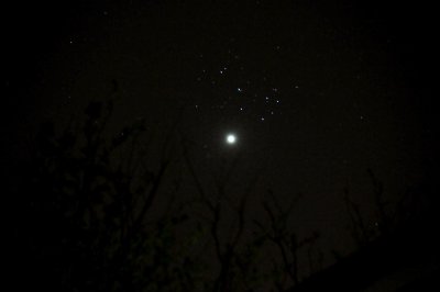 Venus and the Pleiades - 2012