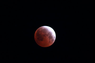 TLE2015-1_0470.jpg