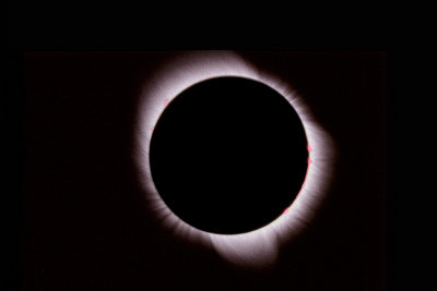124858-49 thru 53 - edited.jpg