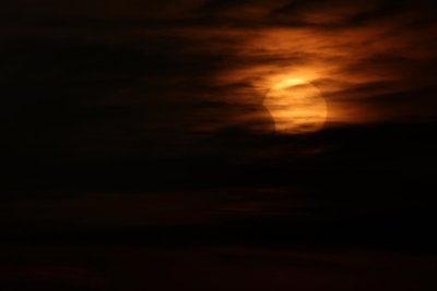 Partial (Annular) Solar Eclipse 2021