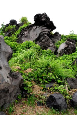 Lava Formations on Sakurajima