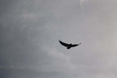 g12/97/993997/3/172232368.xHGCCXNw.jpg