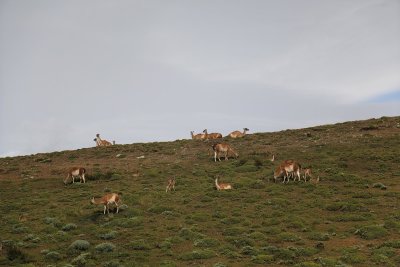 g12/97/993997/3/172232373.J5jEyptI.jpg