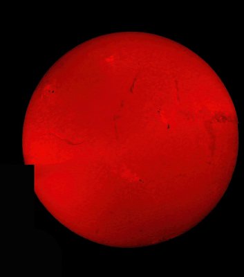 Sun in H-Alpha on 2022.07.12