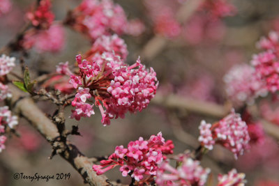 april_2019