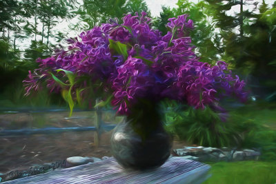 lilac time