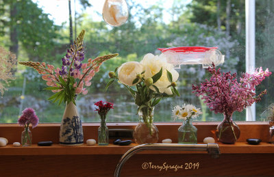 on the kitchen windowsill