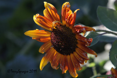 september_2019_