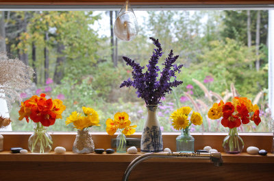 on my October windowsill 