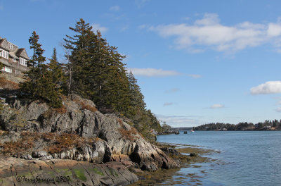 the bold coast of Maine