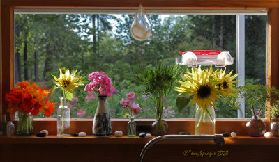 on the kitchen windowsill 