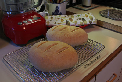my daily bread