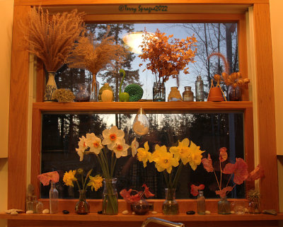 on the kitchen windowsill