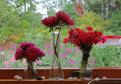 on the kitchen windowsill