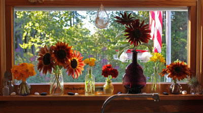 autumn on the kitchen windowsill.