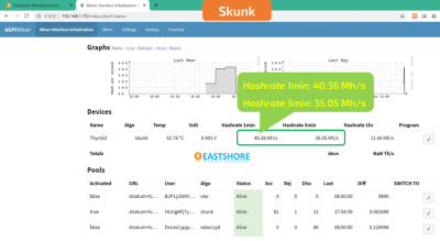 FPGA Miner AGPF SK1 Skunk Hash Speed Test.png