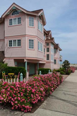 Little Pink Houses For You and Me!