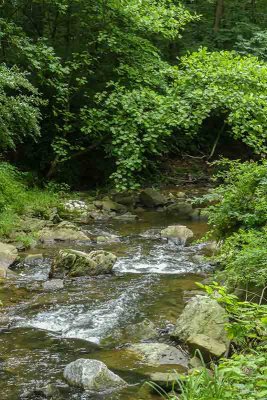 The Rambling Brandywine Creek